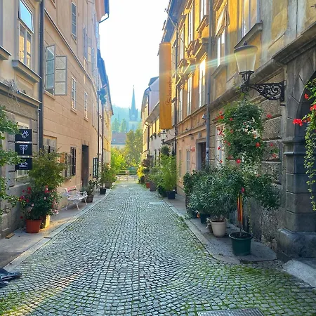 Apartment 1br On The Beautiful Street In Center *