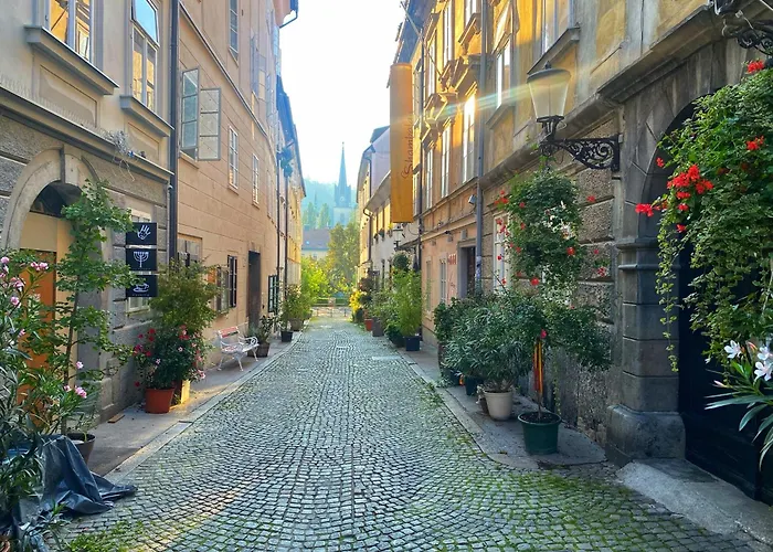 Apartma 1br On The Beautiful Street In Center *